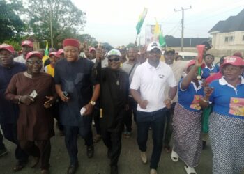 Awogu, Anambra Council Boss Declares For Fed. Rep.