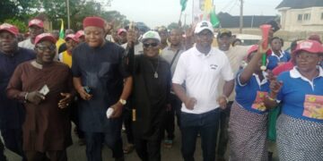 Awogu, Anambra Council Boss Declares For Fed. Rep.