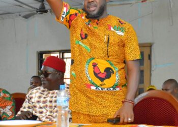 Anambra Central: Give Okagbue Your Votes, Campaign Org. Urges APGA Delegates
