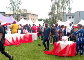 Uba, Oduah Emerge PDP Senatorial Candidates In Anambra