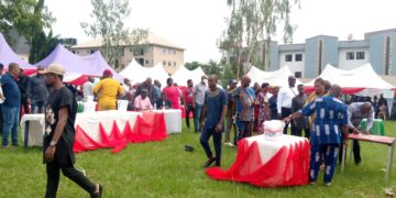 Uba, Oduah Emerge PDP Senatorial Candidates In Anambra