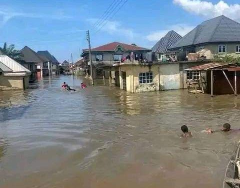 Awogu Says Flood, Worst Existential Threat To Ogbaru People, Urges National Response