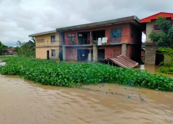 Flood Submerges Buildings, Kills One, Displaces 651,000 Persons In Anambra…NEMA