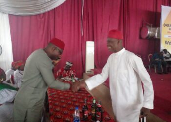 Awogu Bags  Ohaneze “Pillar” Award, Says Equity Crucial To National Unity