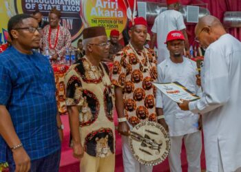 Ohanaeze Ndigbo Honours Emeka Offor For Efforts At Eradicating Polio