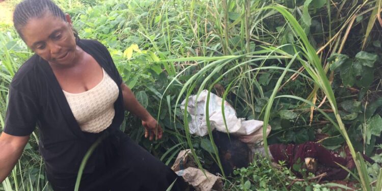 NAPTIP Arrests Woman, 37 For Allegedly Flogging 3yr Girl To Death In Anambra