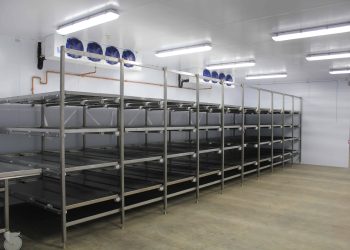 Clear Mortuaries In Southeast, It Is Unbiblical, Alien To Igbo Culture To Preserve Corpses, Ogilisi Says 