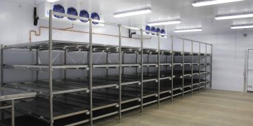 Clear Mortuaries In Southeast, It Is Unbiblical, Alien To Igbo Culture To Preserve Corpses, Ogilisi Says