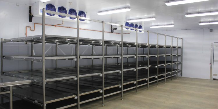 Clear Mortuaries In Southeast, It Is Unbiblical, Alien To Igbo Culture To Preserve Corpses, Ogilisi Says