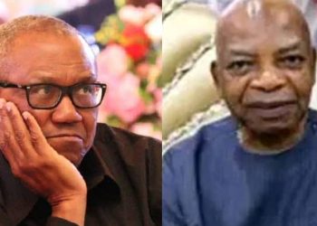 Diaspora Group Tackles Arthur Eze Over Call In Peter Obi To Shelve Presidential Bid