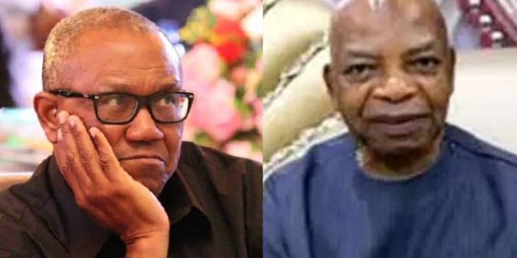 Diaspora Group Tackles Arthur Eze Over Call In Peter Obi To Shelve Presidential Bid