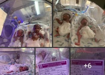 Unizik Lecturer Gives Birth to a Set of Seven Twins, Needs N19m To Offset Hospital Bill