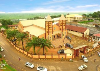 Pope Francis Creates Catholic Diocese of Aguleri, Appoints Bishop Isizoh 1st  Bishop