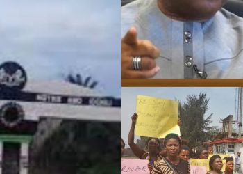 (Video)Imo: No Elections In All 11 Wards of Orsu LGA – PDP Tells INEC