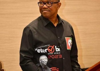 Obi Says Opposition Plans To Scuttle Case With Protests, Reiterates Court, Due Process