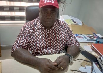 Enekwe, LP Chieftain Urges Nigerians To Vote Without Fear