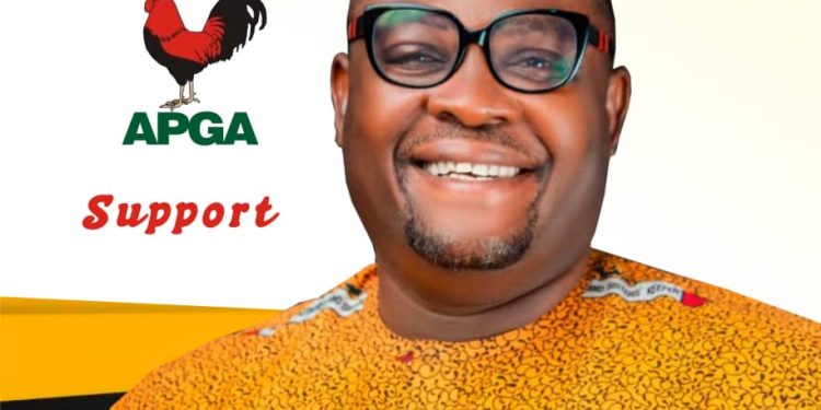 APGA : Nchekwube, Anambra Auditor Declares For State Chairmanship