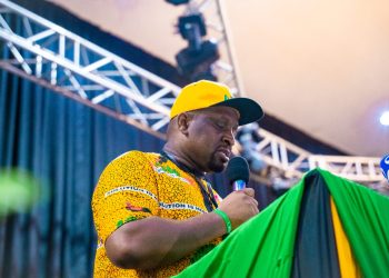 Ezeokenwa Takes Over From Oye As APGA National Chairman