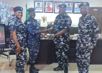 Anambra Policewoman Intercepts Suspected Stolen Armoured Cable, Gets N.25m from CP Adeoye