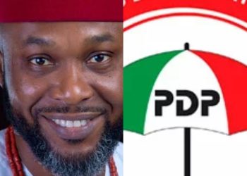 We Will Help Sink PDP If You Sell It To Highest Bidder, Chidoka Tells NEC