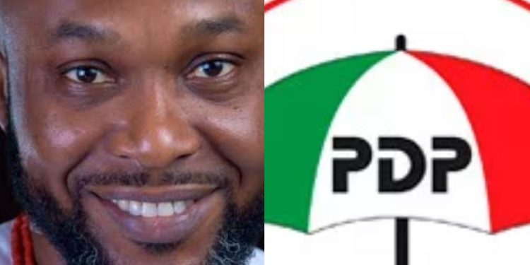 We Will Help Sink PDP If You Sell It To Highest Bidder, Chidoka Tells NEC