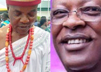 Coastal Highway: Stop Blackmailing Peter Obi, Igbo Ezeonwuka Tells Umahi