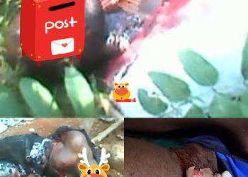 Four Killed In Enugwu-Ukwu,  Anambra Community As Police Launch Manhunt 