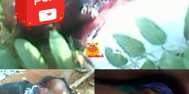 Four Killed In Enugwu-Ukwu, Anambra Community As Police Launch Manhunt