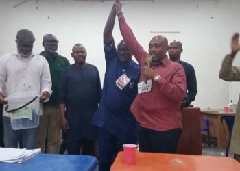 PDP Elects Chidebe Chairman In Anambra