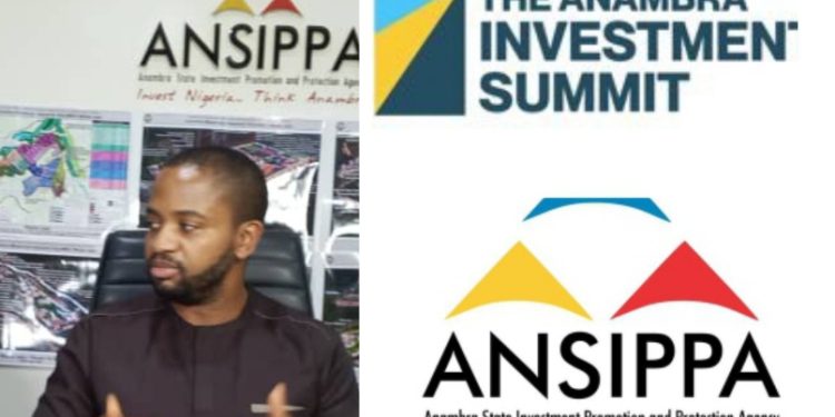 Anambra Investment Summit: Opportunities, And Energy Challenge For Businesses