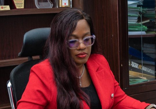 Anambra’s N607bn Budget Strengthen Solution Industrialisation Agenda—- Nnake