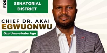 Amichi Community Youths Endorse Egwuonwu for South Senatorial Rerun 
