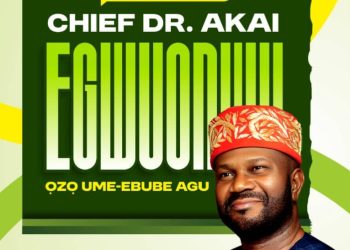 Anambra Senate Hopeful, Egwuonwu Hails Soludo’s Security Initiative, Pledges Support 