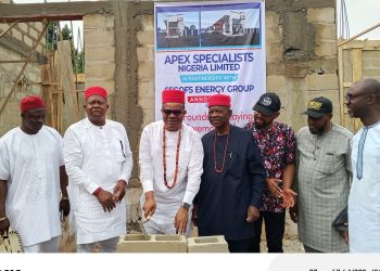 SEGOFS Energy Partners Apex Hospital To Build N3bn Diagnostic Centre In Anambra