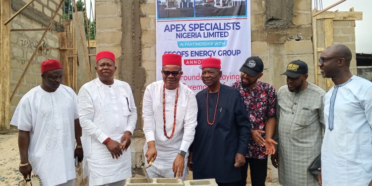 SEGOFS Energy Partners Apex Hospital To Build N3bn Diagnostic Centre In Anambra
