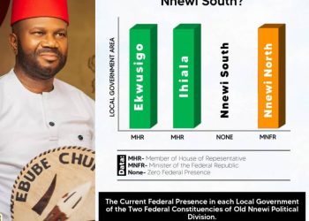 Why Anambra South Should Go Nnewi South 