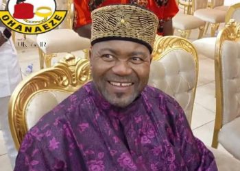 Amamgbo Congratulates Ndigbo Leadership, Harps on Security For Stability