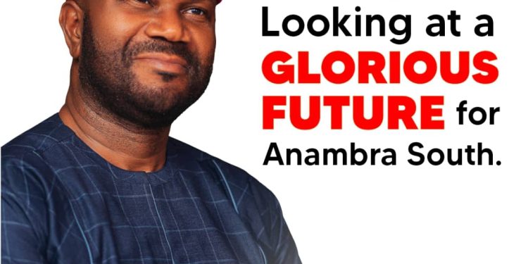 Anambra South: Egwuonwu Best Man To Replace Sen. Ubah In NASS