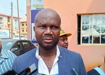 Egwuonwu  Pledgers To Partner Soludo On Insecurity