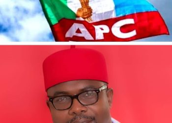 Anambra Poll: APC Has No Problems With Indirect Primaries— Awogu