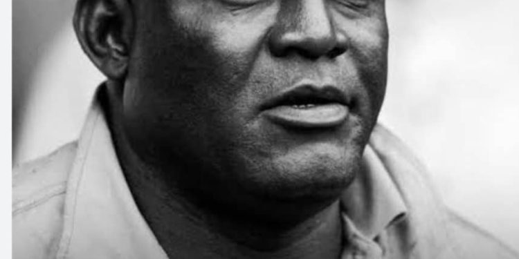 Sen. Adeyemi Urges President Tinubu to Immortalise Christian Chukwu