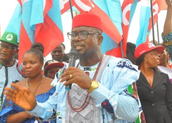 Anambra Guber: Ukachukwu Will Address Insecurity, Turn Forests To Productive Land— Awogu.