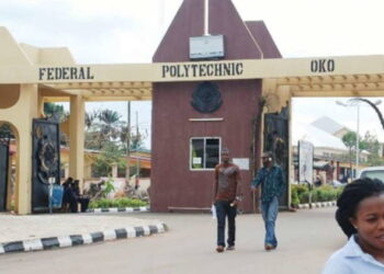 No Cause For Alarm Over Shootings—OkoPoly Official