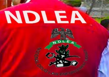 Abducted NDLEA Director In Anambra Regains Freedom After 10 Days 