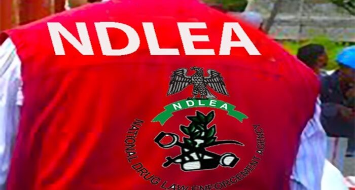 Abducted NDLEA Director In Anambra Regains Freedom After 10 Days