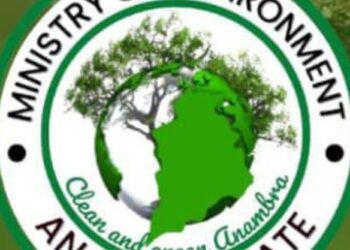 Anambra Orders Repainting Of Private Buildings In public Places 