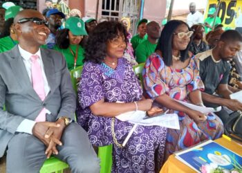 Green Revolution Sets Up Smart Farm Settlements In Anambra 