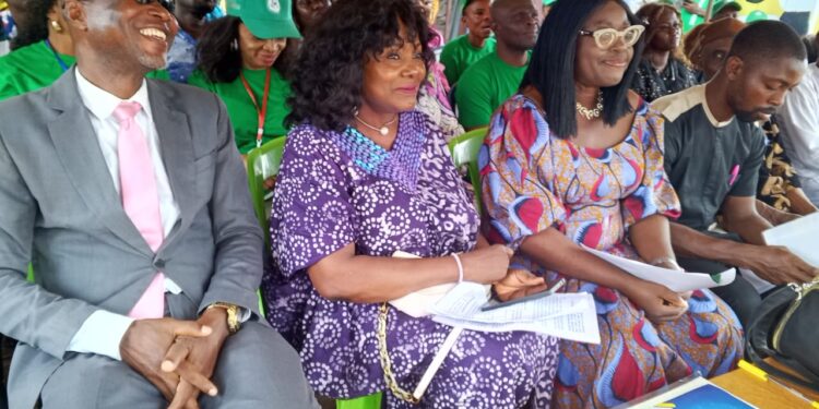 Green Revolution Sets Up Smart Farm Settlements In Anambra 