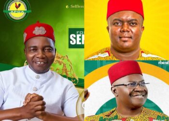 Ebuka Onunkwo Leads Two Other APGA Aspirants In Anambra South Mock Primary 