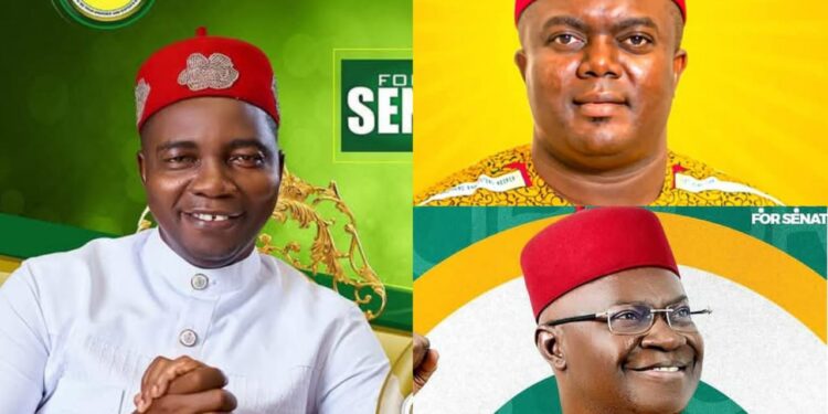 Ebuka Onunkwo Leads Two Other APGA Aspirants In Anambra South Mock Primary